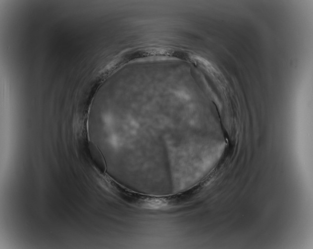 X0000085270409200703301858