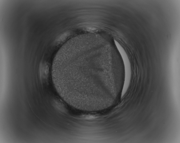 X0000085270412200703301858