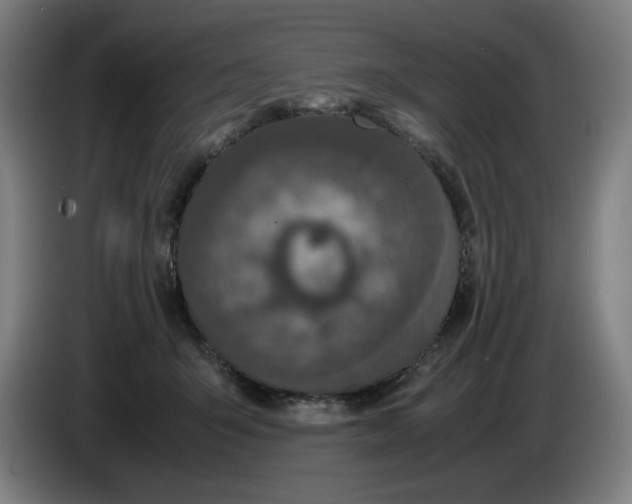 X0000085270415200703301858