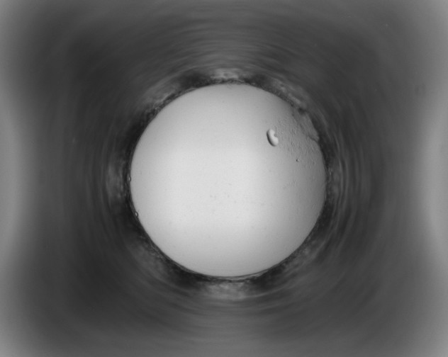 X0000085270422200703301858