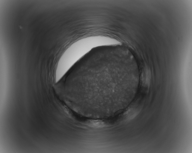 X0000085270424200703301858