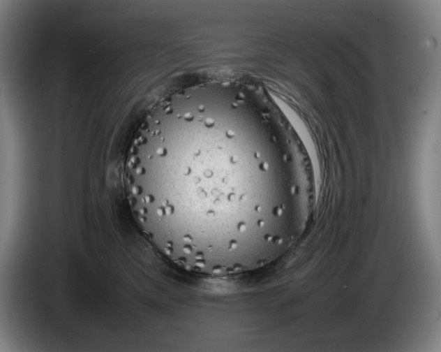 X0000085270425200703301858