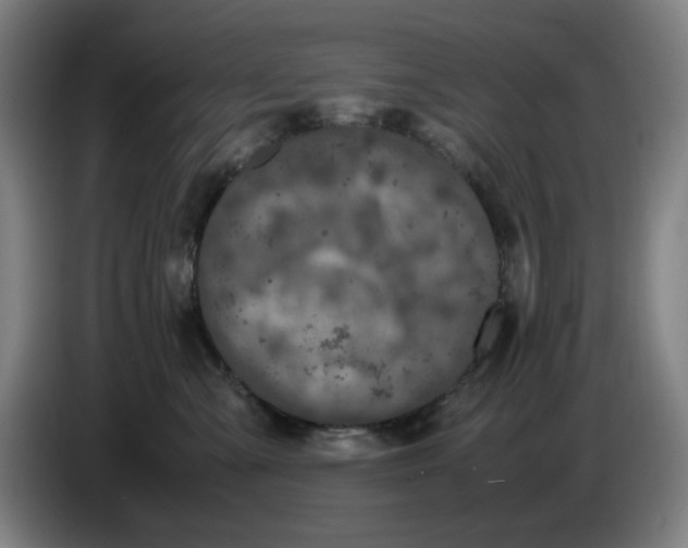 X0000085270427200703301858