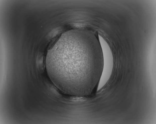 X0000085270428200703301858