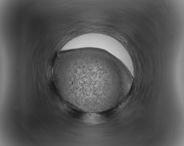 X0000085270429200703301858