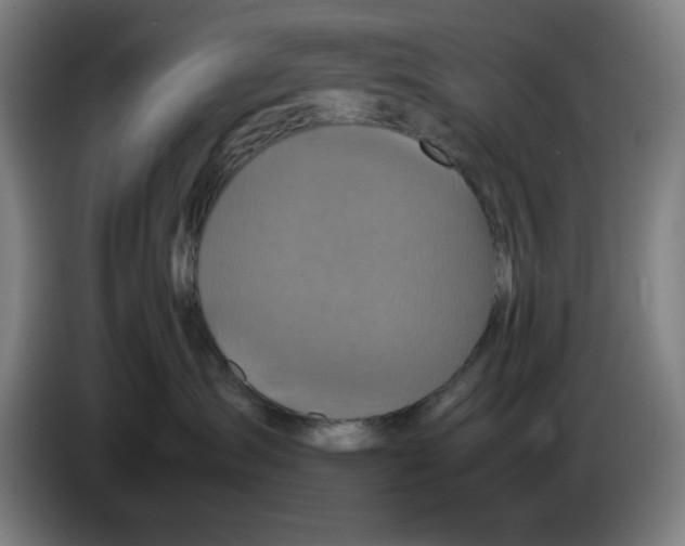 X0000085270431200703301858