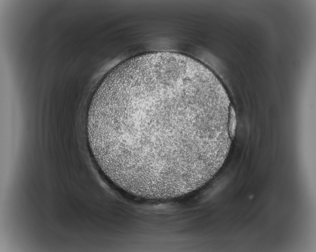 X0000085270433200703301857