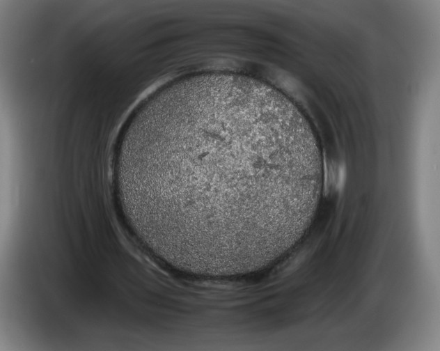 X0000085270435200703301857