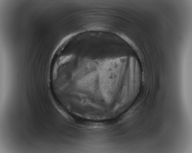 X0000085270438200703301857