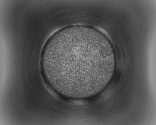 X0000085270439200703301857