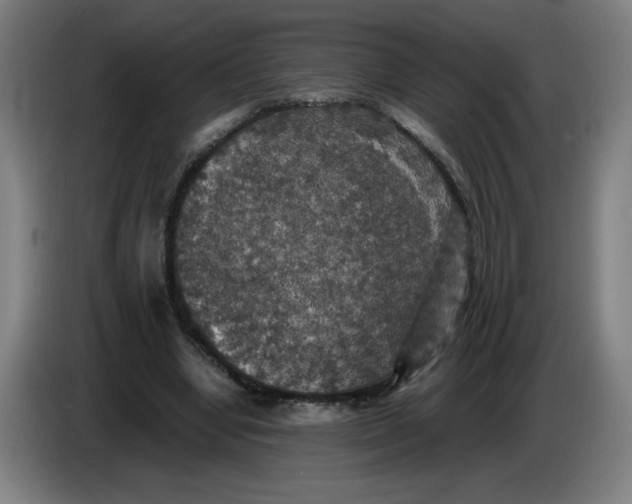 X0000085270442200703301858