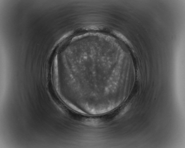 X0000085270444200703301858