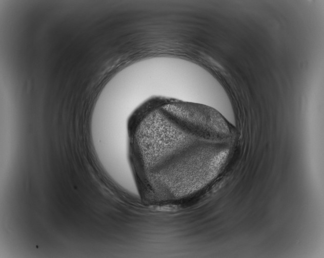 X0000085270452200703301858