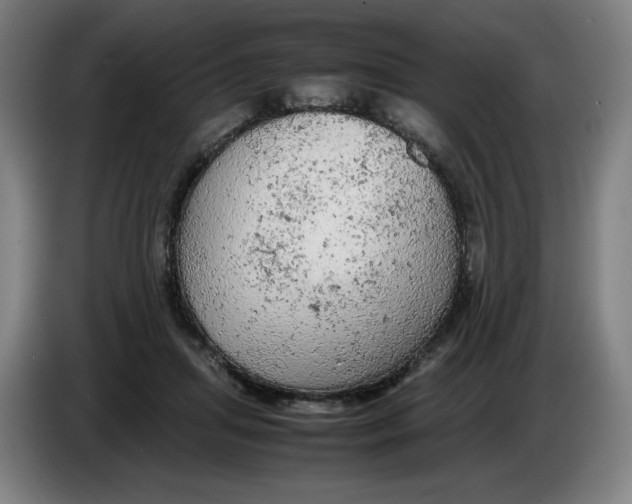 X0000085270455200703301858