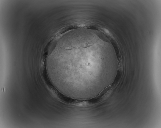 X0000085270456200703301858