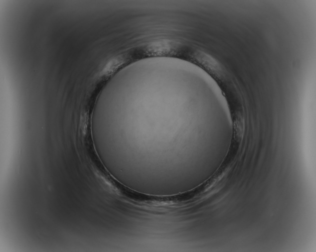 X0000085270458200703301858