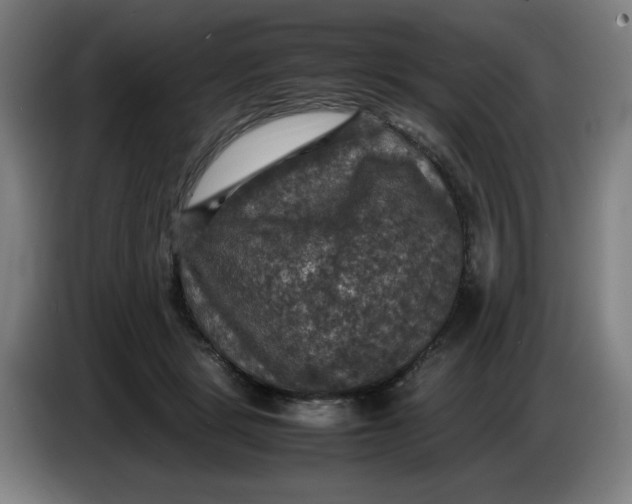 X0000085270461200703301858