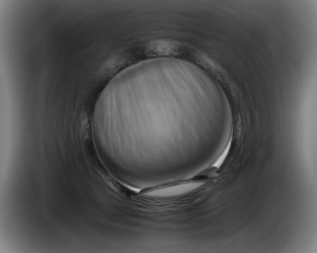 X0000085270465200703301858