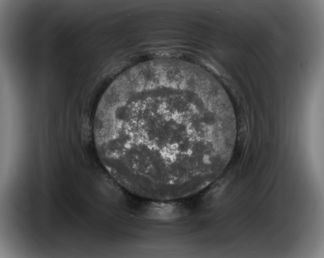 X0000085270469200703301858