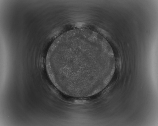 X0000085270470200703301858