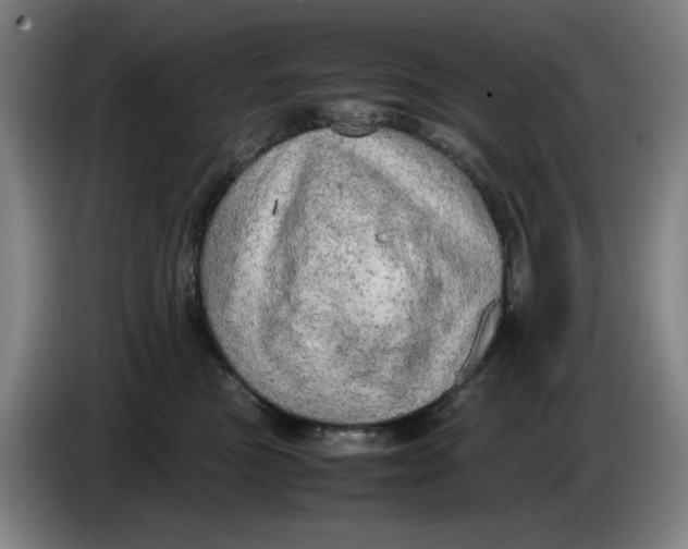 X0000085270473200703301858