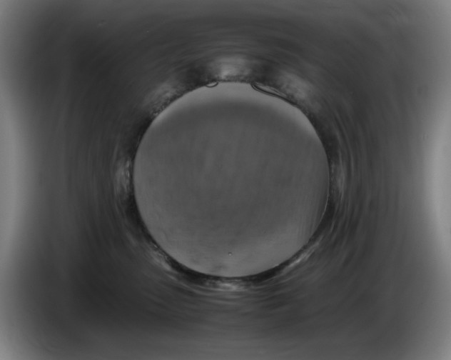 X0000085270475200703301858