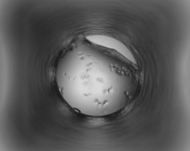 X0000085270476200703301858