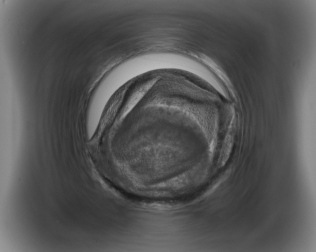 X0000085270481200703301857