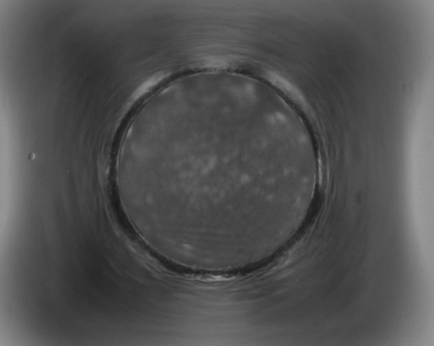 X0000085270483200703301857