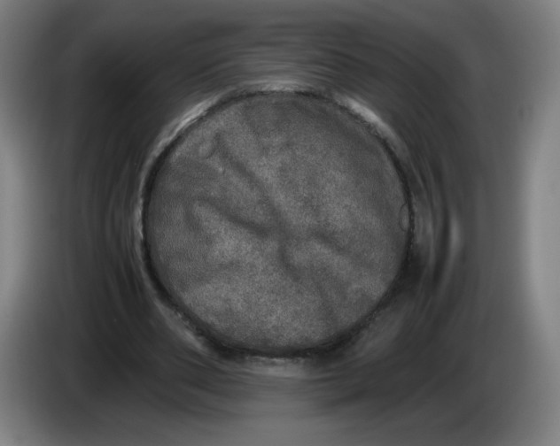 X0000085270486200703301857