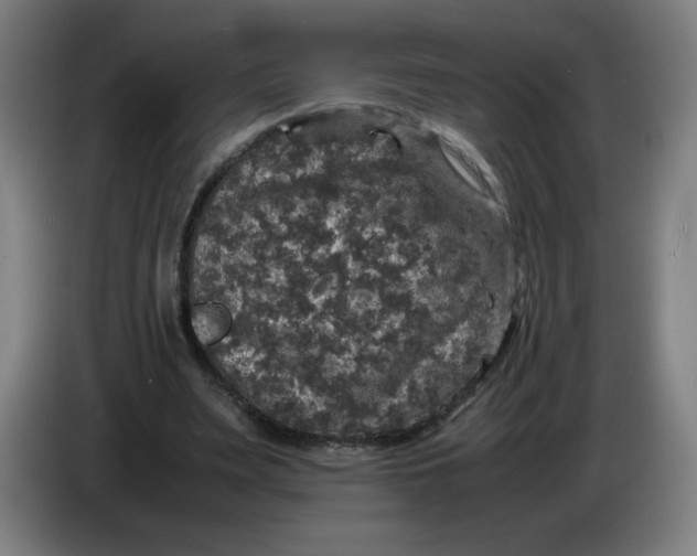 X0000085270487200703301857