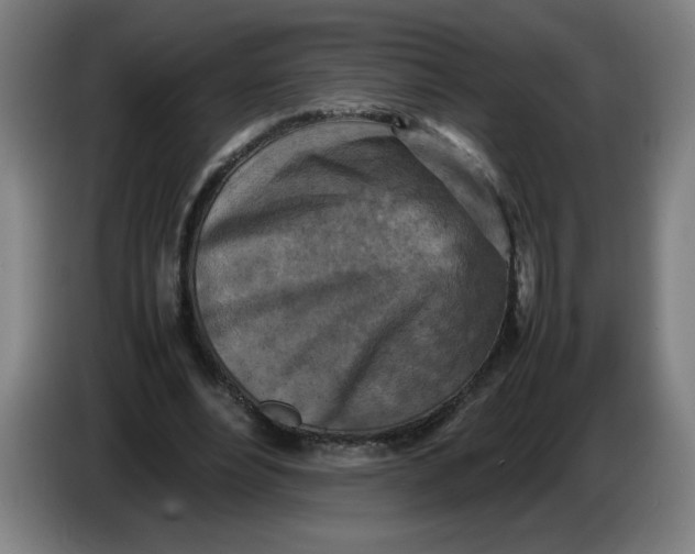 X0000085270488200703301857