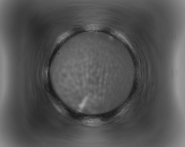 X0000085270491200703301857