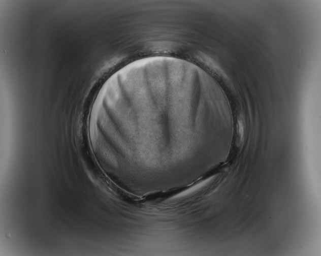 X0000085270492200703301857