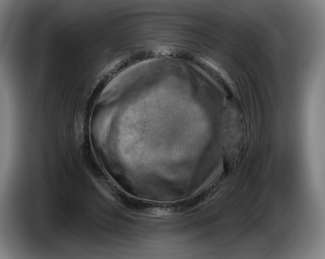 X0000085270496200703301857