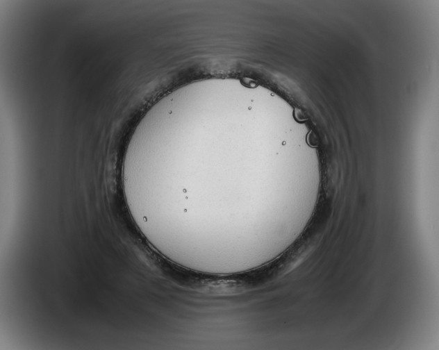 X0000085270497200703301857