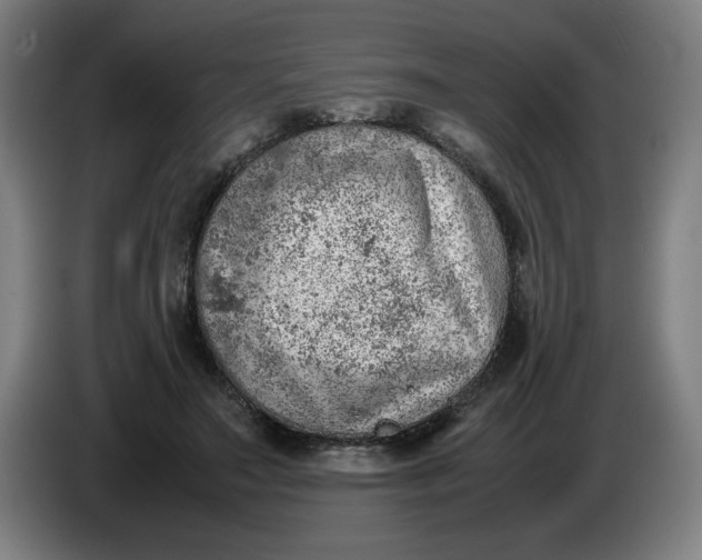 X0000085270499200703301857