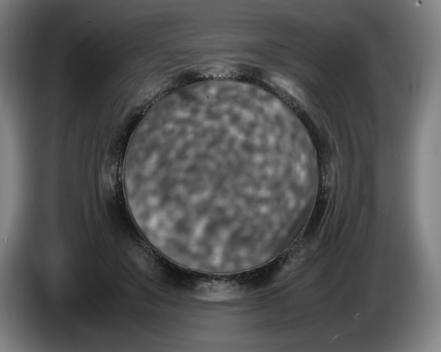 X0000085270503200703301857