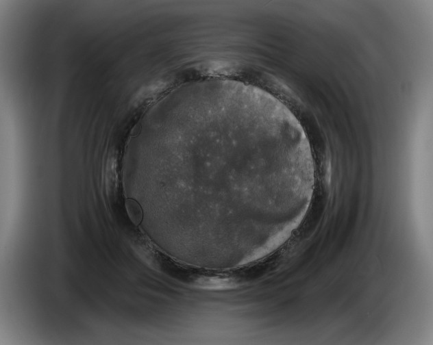 X0000085270506200703301857