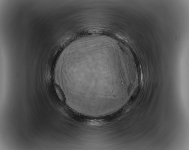 X0000085270508200703301857