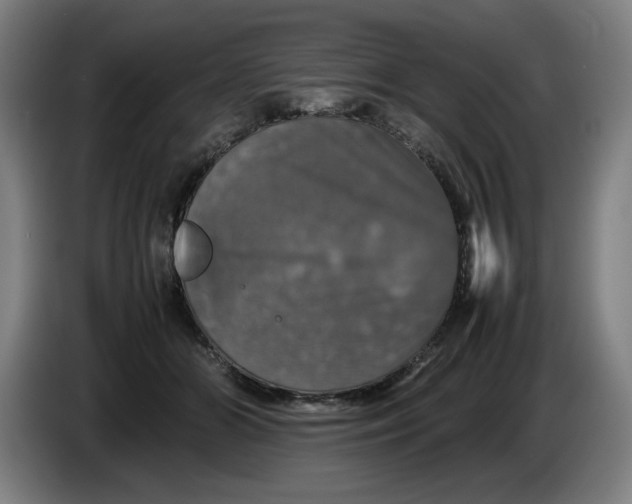 X0000085270510200703301857