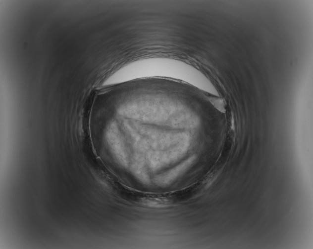 X0000085270512200703301857