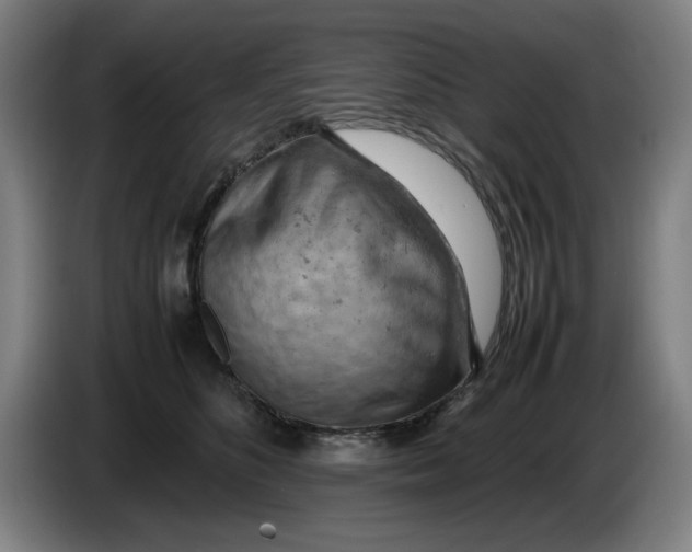 X0000085270516200703301857