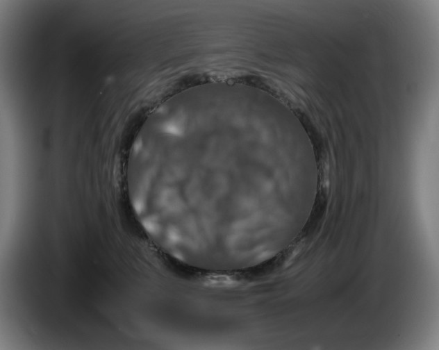 X0000085270519200703301857