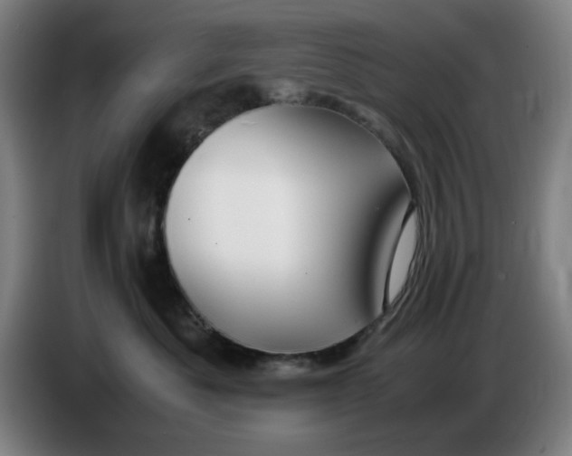 X0000085270525200703301857