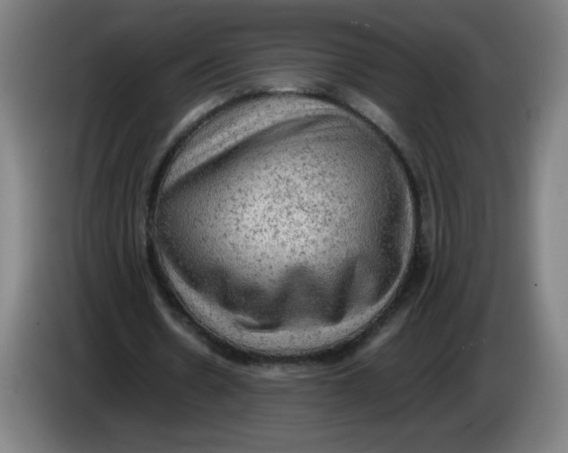 X0000085270530200703301856