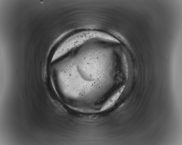 X0000085270532200703301856