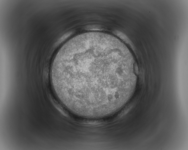 X0000085270533200703301856