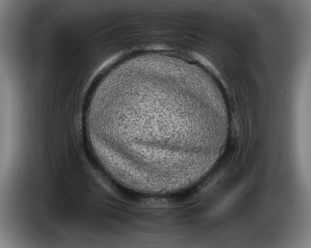 X0000085270535200703301856