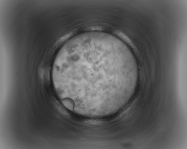 X0000085270537200703301856